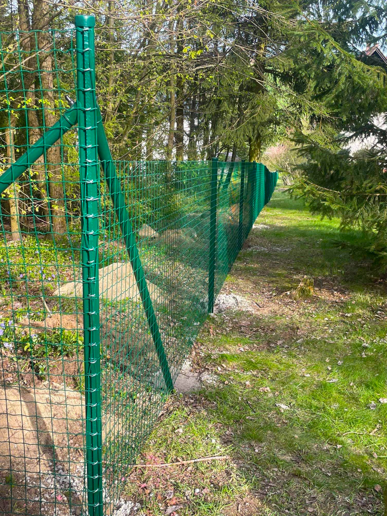 d4aedbfe-b4a6-4fae-9b8f-6af4d0679e48